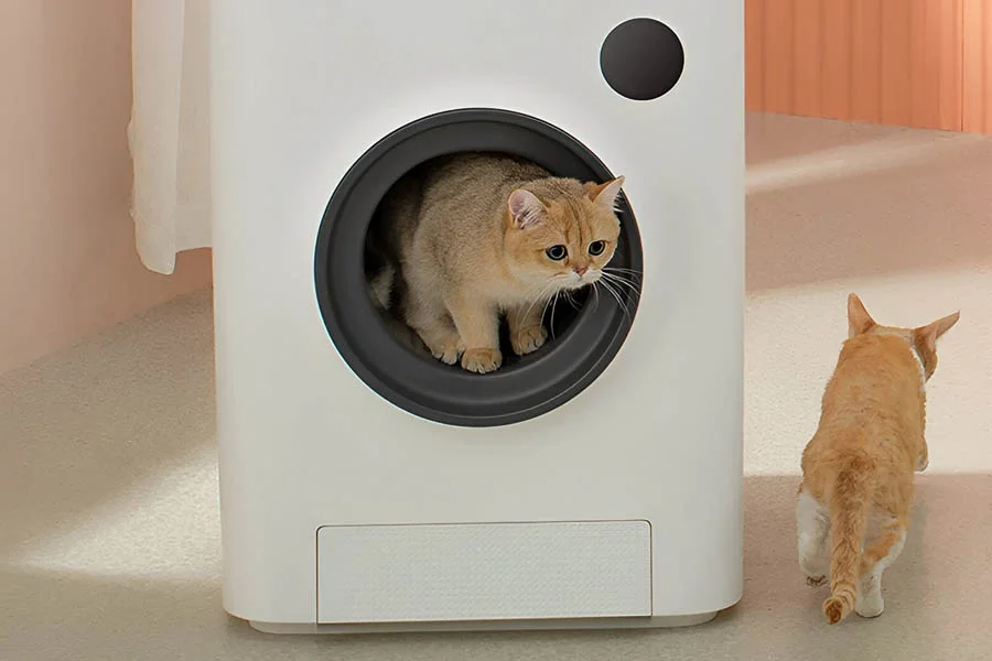 scent free litter box